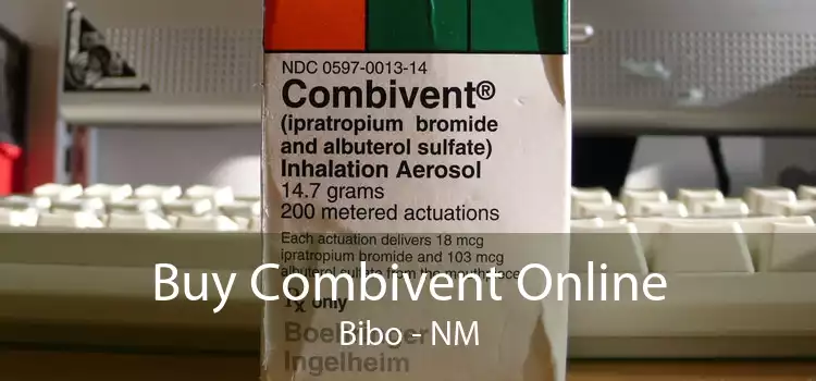 Buy Combivent Online Bibo - NM
